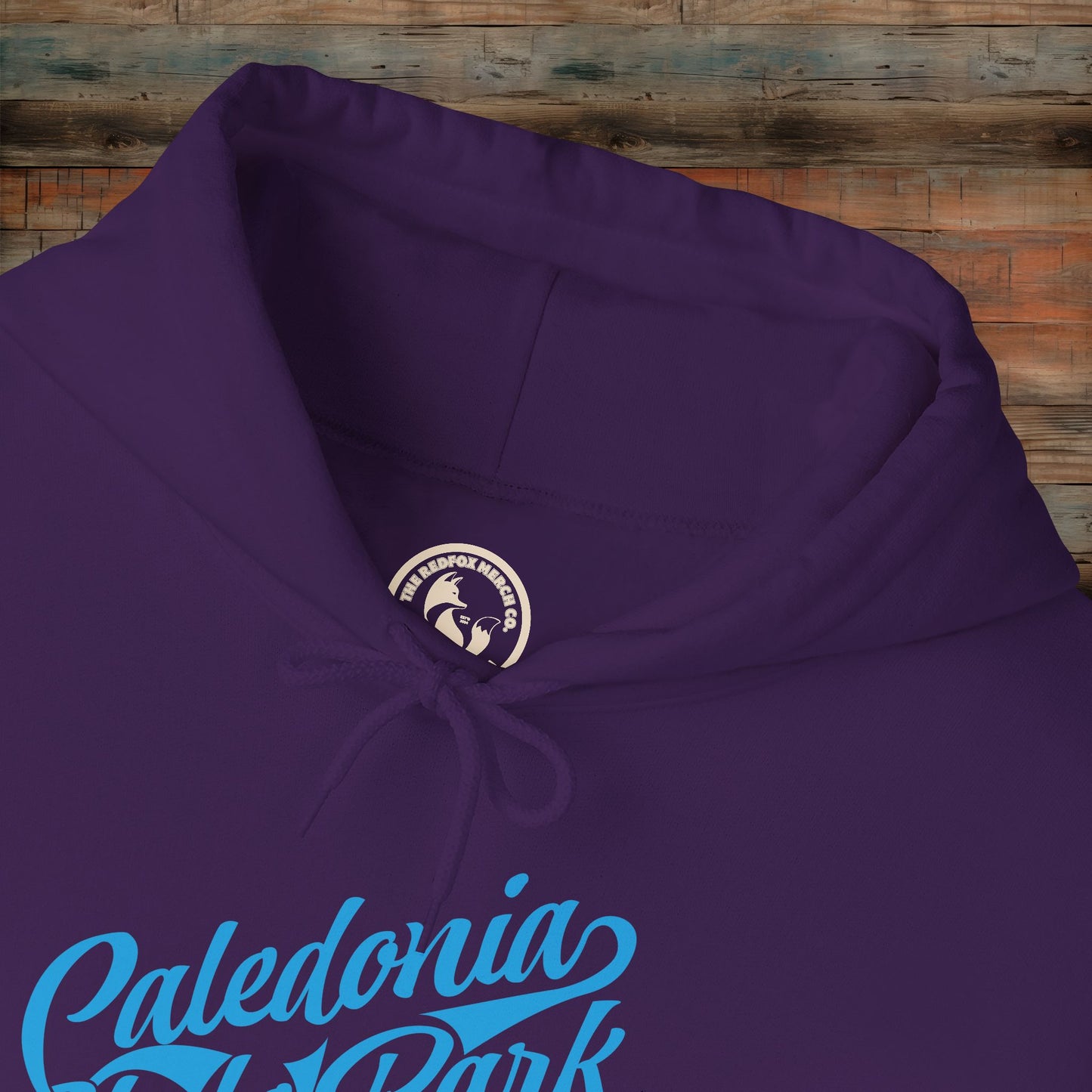 Caledonia State Park Hoodie, Cozy Outdoor Sweatshirt, Travel Souvenir Gift, Unisex Pullover, Nature Lover Apparel, Adventure Gear