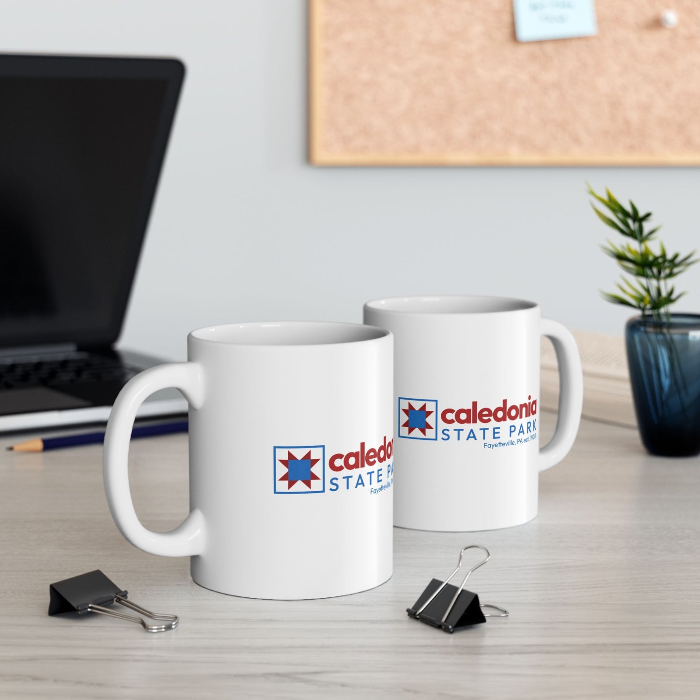 Caledonia State Park Ceramic Mug, 11oz, Perfect for Nature Lovers, Great Gift for Hikers, Coffee Lovers, Travel Memento