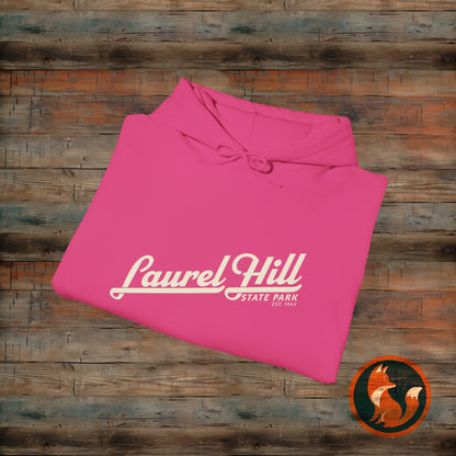 Laurel Hill State Park Vintage Hoodie, Comfort Apparel, Unisex Sweatshirt, Casual Wear, Gift for Him/Her, Cozy Layering