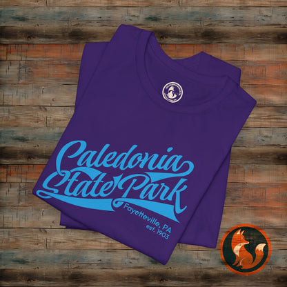 Caledonia State Park Tee | Unisex Jersey Short Sleeve T-Shirt | Nature Lover Gift | Outdoor Adventure Shirt | Travel Souvenir