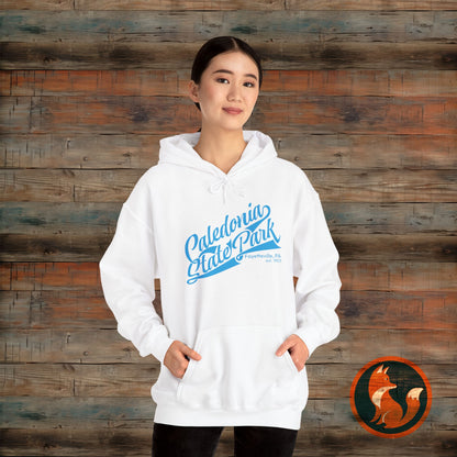 Caledonia State Park Hoodie, Cozy Outdoor Sweatshirt, Travel Souvenir Gift, Unisex Pullover, Nature Lover Apparel, Adventure Gear
