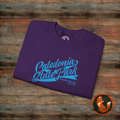Caledonia State Park Sweatshirt, Cozy Crewneck Apparel, Unisex Gift, Outdoor Lover, Nature Adventure, Travel Souvenir