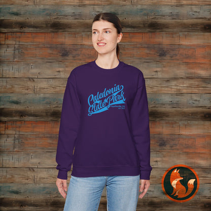 Caledonia State Park Sweatshirt, Cozy Crewneck Apparel, Unisex Gift, Outdoor Lover, Nature Adventure, Travel Souvenir