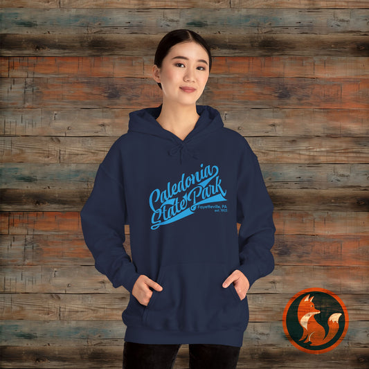 Caledonia State Park Hoodie, Cozy Outdoor Sweatshirt, Travel Souvenir Gift, Unisex Pullover, Nature Lover Apparel, Adventure Gear