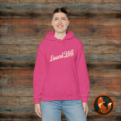 Laurel Hill State Park Vintage Hoodie, Comfort Apparel, Unisex Sweatshirt, Casual Wear, Gift for Him/Her, Cozy Layering