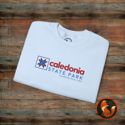 Caledonia State Park Crewneck Sweatshirt, Cozy Travel Gift, Nature Lover Apparel, Unisex Hoodie, Outdoor Adventure Wear