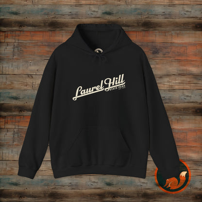 Laurel Hill State Park Vintage Hoodie, Comfort Apparel, Unisex Sweatshirt, Casual Wear, Gift for Him/Her, Cozy Layering