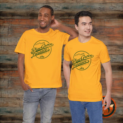 Vintage Pine Grove Furnace State Park Tee for Nature Lovers, Casual Graphic Tee, Outdoor Adventure Shirt, Unique Gift Idea