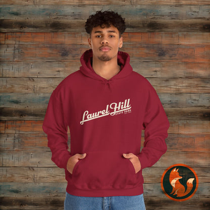 Laurel Hill State Park Vintage Hoodie, Comfort Apparel, Unisex Sweatshirt, Casual Wear, Gift for Him/Her, Cozy Layering