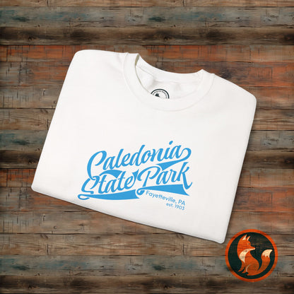 Caledonia State Park Sweatshirt, Cozy Crewneck Apparel, Unisex Gift, Outdoor Lover, Nature Adventure, Travel Souvenir