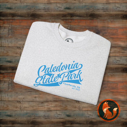 Caledonia State Park Sweatshirt, Cozy Crewneck Apparel, Unisex Gift, Outdoor Lover, Nature Adventure, Travel Souvenir