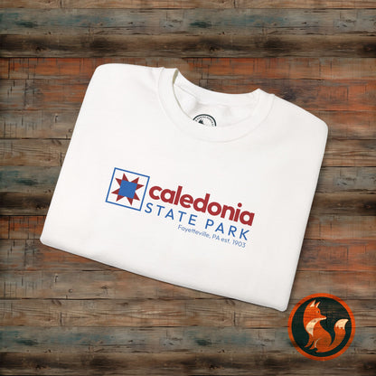 Caledonia State Park Crewneck Sweatshirt, Cozy Travel Gift, Nature Lover Apparel, Unisex Hoodie, Outdoor Adventure Wear