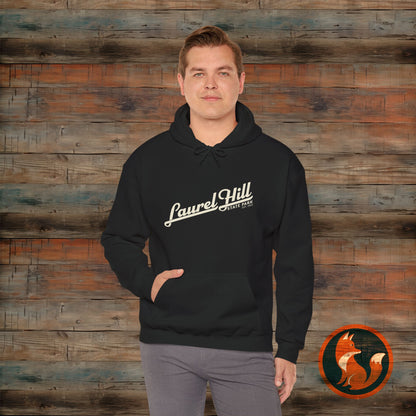 Laurel Hill State Park Vintage Hoodie, Comfort Apparel, Unisex Sweatshirt, Casual Wear, Gift for Him/Her, Cozy Layering
