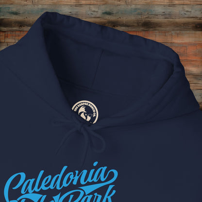 Caledonia State Park Hoodie, Cozy Outdoor Sweatshirt, Travel Souvenir Gift, Unisex Pullover, Nature Lover Apparel, Adventure Gear