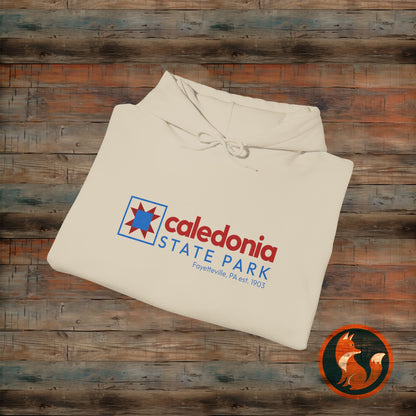 Caledonia State Park Hoodie - Cozy Unisex Sweatshirt for Adventures, Nature Lovers, Travel Enthusiasts, Gifts, Outdoor Activities