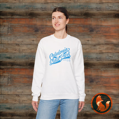Caledonia State Park Sweatshirt, Cozy Crewneck Apparel, Unisex Gift, Outdoor Lover, Nature Adventure, Travel Souvenir