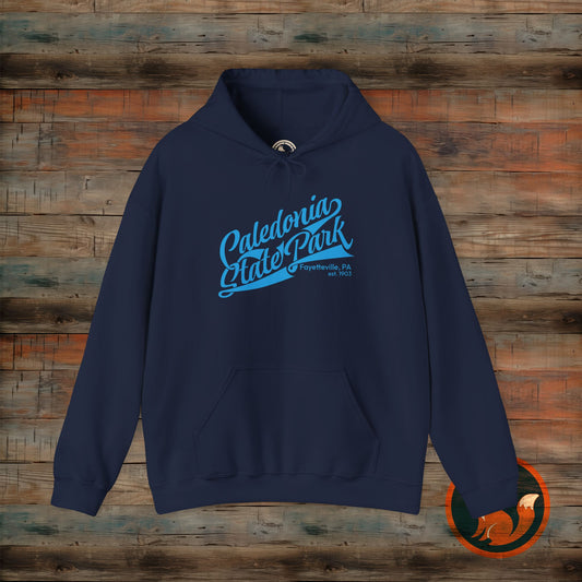 Caledonia State Park Hoodie, Cozy Outdoor Sweatshirt, Travel Souvenir Gift, Unisex Pullover, Nature Lover Apparel, Adventure Gear