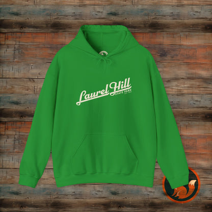Laurel Hill State Park Vintage Hoodie, Comfort Apparel, Unisex Sweatshirt, Casual Wear, Gift for Him/Her, Cozy Layering