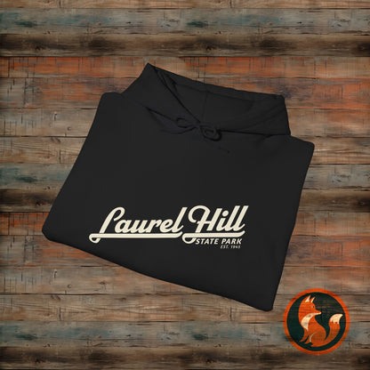 Laurel Hill State Park Vintage Hoodie, Comfort Apparel, Unisex Sweatshirt, Casual Wear, Gift for Him/Her, Cozy Layering