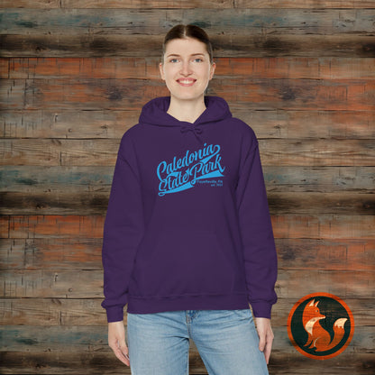 Caledonia State Park Hoodie, Cozy Outdoor Sweatshirt, Travel Souvenir Gift, Unisex Pullover, Nature Lover Apparel, Adventure Gear