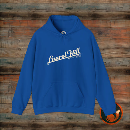 Laurel Hill State Park Vintage Hoodie, Comfort Apparel, Unisex Sweatshirt, Casual Wear, Gift for Him/Her, Cozy Layering