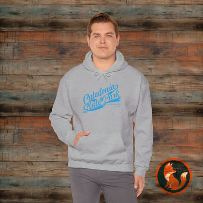 Caledonia State Park Hoodie, Cozy Outdoor Sweatshirt, Travel Souvenir Gift, Unisex Pullover, Nature Lover Apparel, Adventure Gear