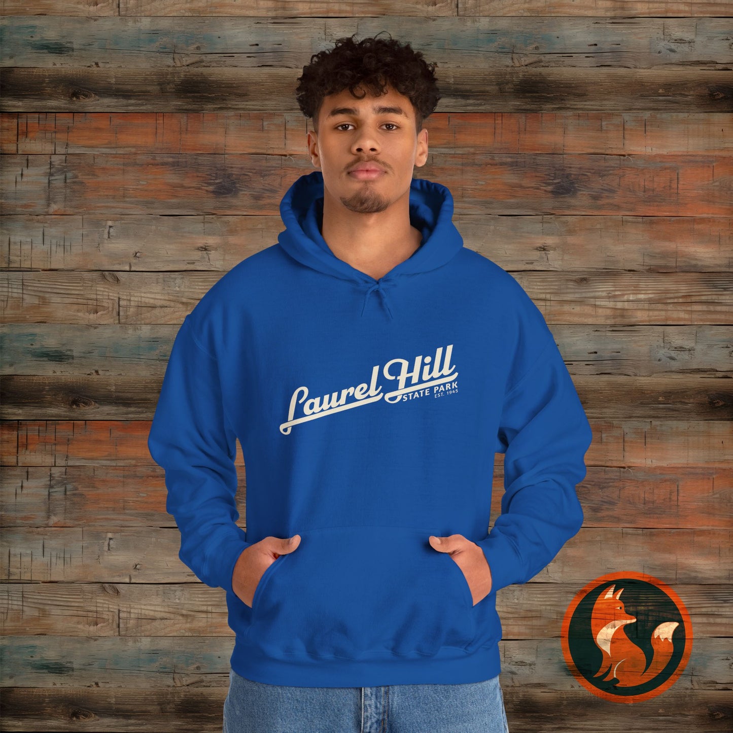 Laurel Hill State Park Vintage Hoodie, Comfort Apparel, Unisex Sweatshirt, Casual Wear, Gift for Him/Her, Cozy Layering