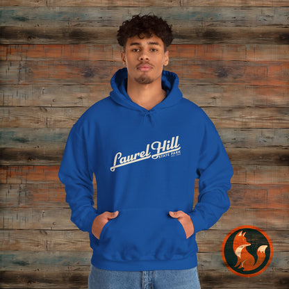 Laurel Hill State Park Vintage Hoodie, Comfort Apparel, Unisex Sweatshirt, Casual Wear, Gift for Him/Her, Cozy Layering